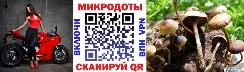 Галлюциногенные грибы прущие грибы  что такое наркотик  Шарыпово 